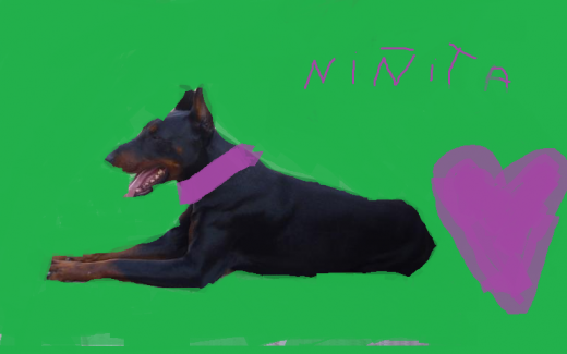yo le quise arrelar una foto a mi linda guaguita